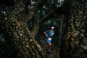 BIB: 
                            <button type="button" onclick="openModal(25679308)" class="btn btn-primary btn-sm float-right btn-popup" data-toggle="modal" data-target=".modal-high-quality">
                        <i class="fas fa-shopping-cart"></i> Add to Cart
                    </button>
                                            <button type="button" onclick="isThisMe(25679308, true)" class="btn btn-success btn-sm float-right btn-popup btn-isme hidden" data-toggle="tooltip" data-placement="bottom" title="นี่คือรูปของคุณใช่ไหม คลิกที่นี่เพื่อเอาเข้าอัลบั้ม">
                        <i class="fas fa-plus"></i> Add to album
                    </button>
                    <button type="button" onclick="isThisMe(25679308, false)" class="btn btn-warning btn-sm float-right btn-popup btn-isnotme hidden">
                        <i class="fas fa-ban"></i> Remove from album
                    </button>